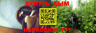 прущие грибы Аша