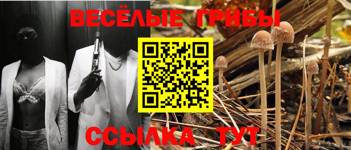 Галлюциногенные грибы Psilocybe  Псилоцибиновые грибы Magic Shrooms  Ачинск  Вход с VPN 