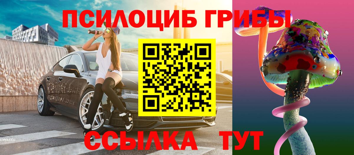 Псилоцибиновые грибы Psilocybine cubensis Ачинск